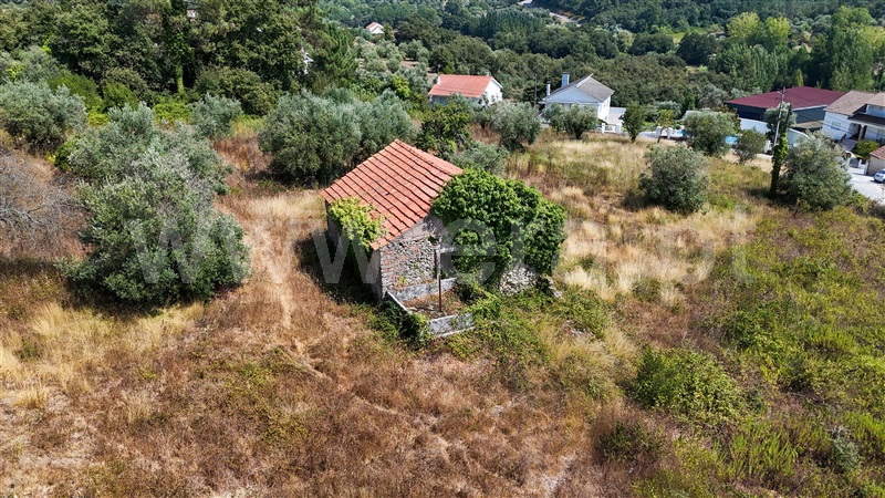 Terreno  Ourém, Gondemaria e Olival - 1503643 - 6