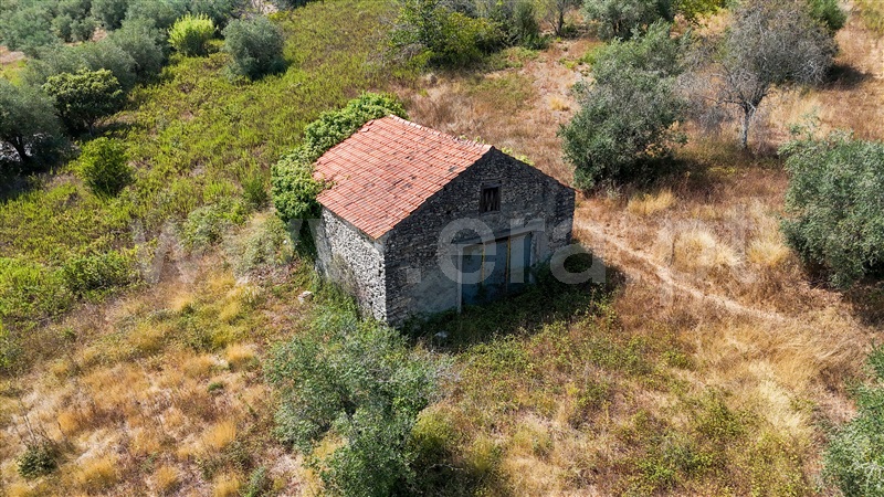Terreno  Ourém, Gondemaria e Olival - 1503643 - 7
