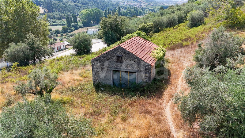 Terreno  Ourém, Gondemaria e Olival - 1503643 - 8