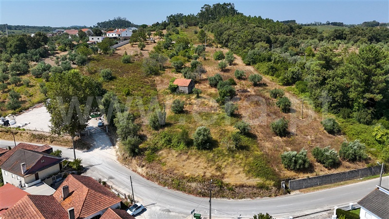 Terreno  Ourém, Gondemaria e Olival - 1503643 - 9