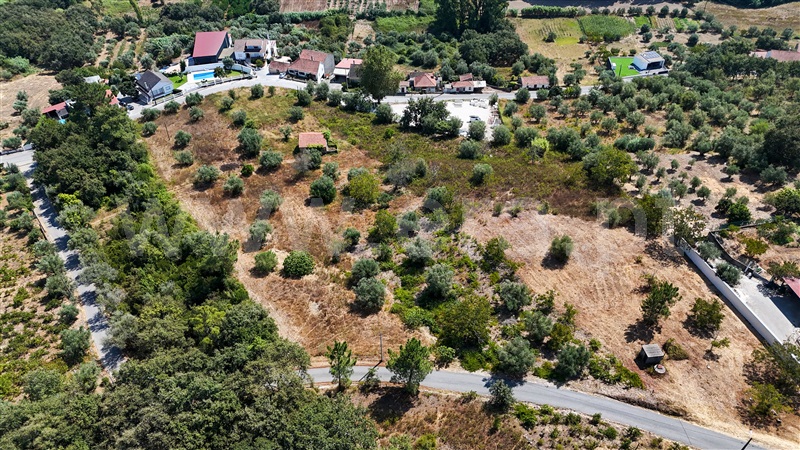 Terreno  Ourém, Gondemaria e Olival - 1503643 - 18