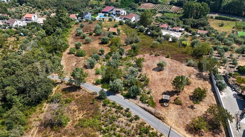 Terreno  Ourém, Gondemaria e Olival - 1503643 - 20