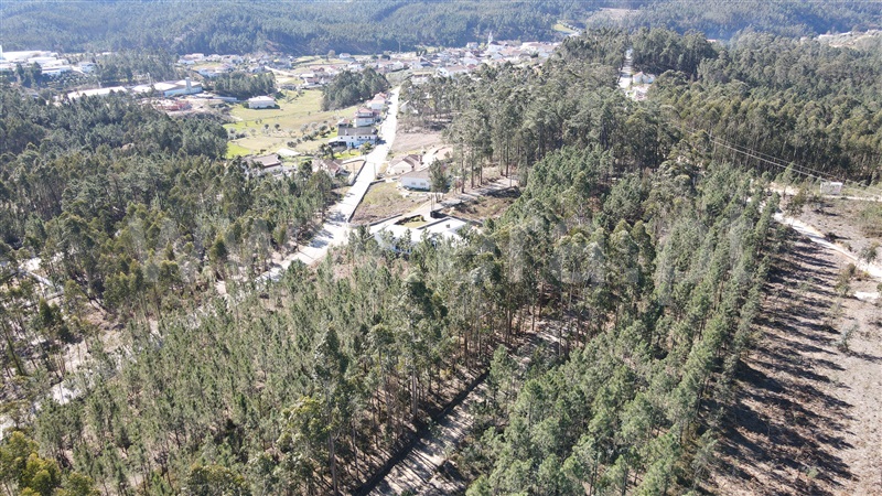 Terreno  Ourém, Matas e Cercal - 1228015 - 5