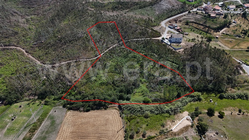 Terreno / Ourém, Matas e Cercal