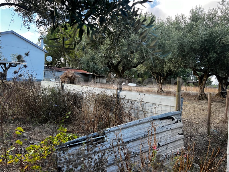 Terreno / Sintra, Queluz e Belas