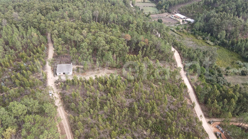 Terreno  Ourém, Nossa Senhora das Misericórdias - 1438566 - 8