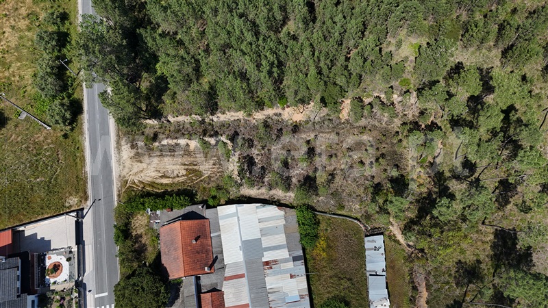 Terreno  Ourém, Freixianda, Ribeira do Fárrio e Formigais - 1482749 - 3