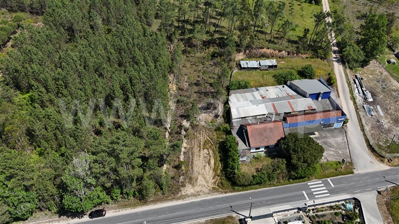 Terreno  Ourém, Freixianda, Ribeira do Fárrio e Formigais - 1482749 - 6