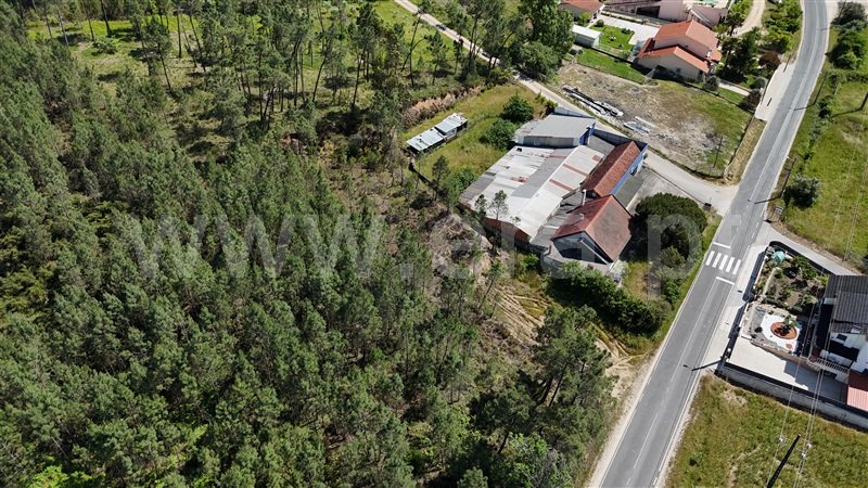 Terreno  Ourém, Freixianda, Ribeira do Fárrio e Formigais - 1482749 - 9