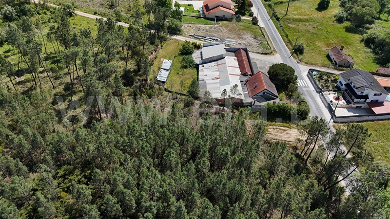 Terreno  Ourém, Freixianda, Ribeira do Fárrio e Formigais - 1482749 - 10