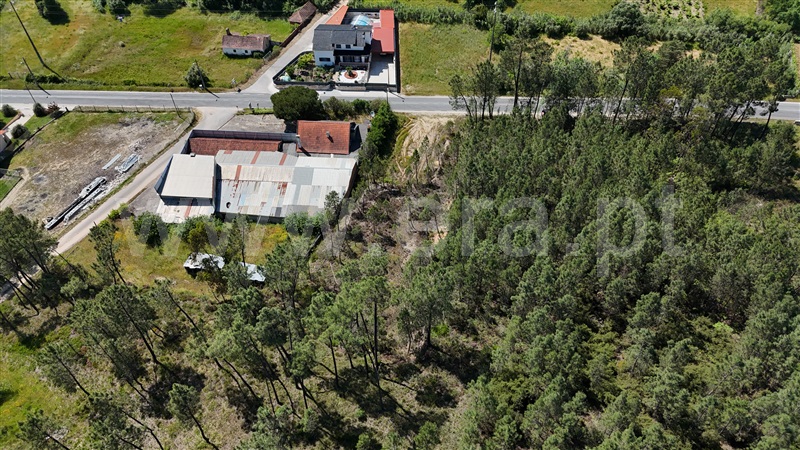 Terreno  Ourém, Freixianda, Ribeira do Fárrio e Formigais - 1482749 - 11