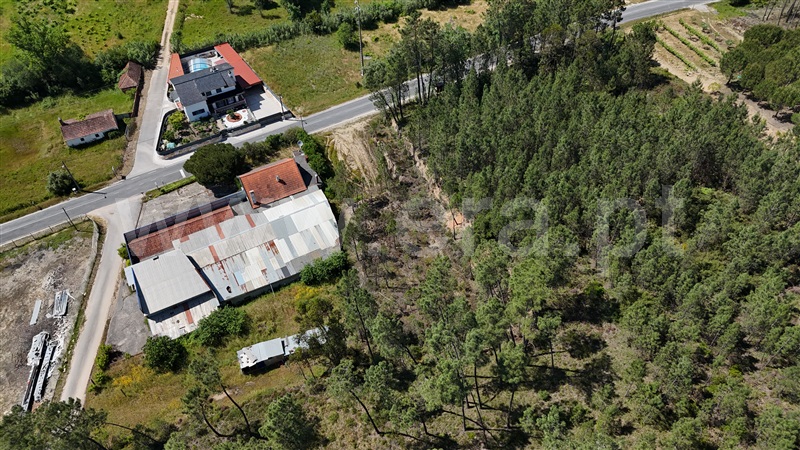 Terreno  Ourém, Freixianda, Ribeira do Fárrio e Formigais - 1482749 - 13