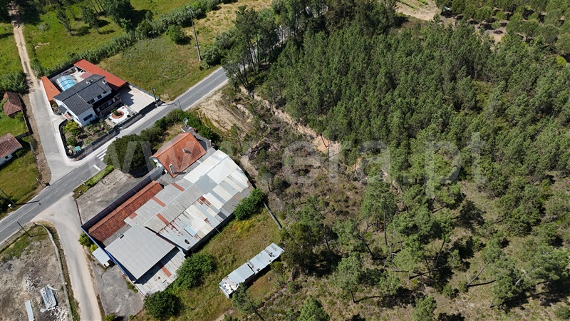 Terreno  Ourém, Freixianda, Ribeira do Fárrio e Formigais - 1482749 - 15