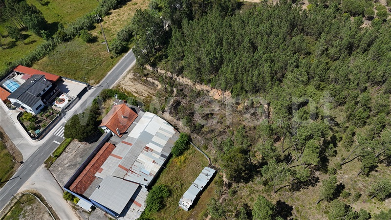 Terreno  Ourém, Freixianda, Ribeira do Fárrio e Formigais - 1482749 - 16