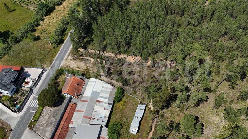 Terreno  Ourém, Freixianda, Ribeira do Fárrio e Formigais - 1482749 - 17
