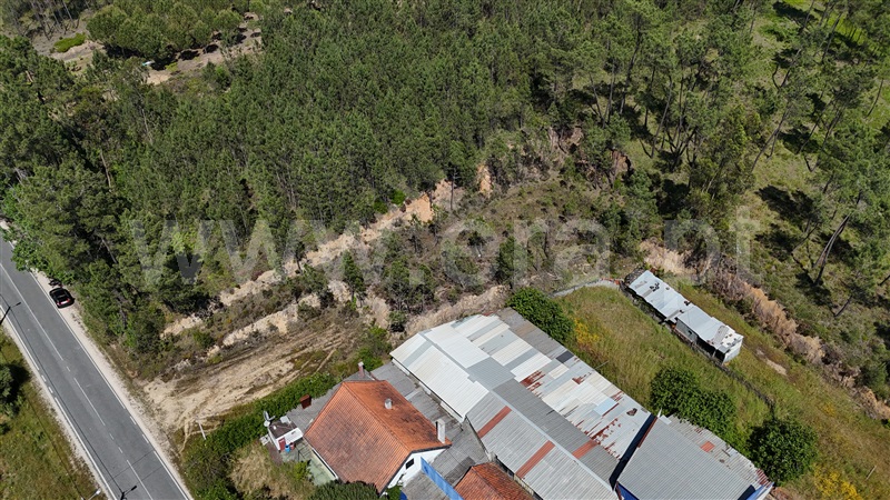 Terreno  Ourém, Freixianda, Ribeira do Fárrio e Formigais - 1482749 - 19