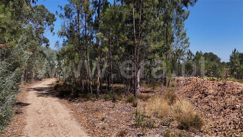 Terreno  com Rústico Ourém, Rio de Couros e Casal dos Bernardos - 1498086 - 3