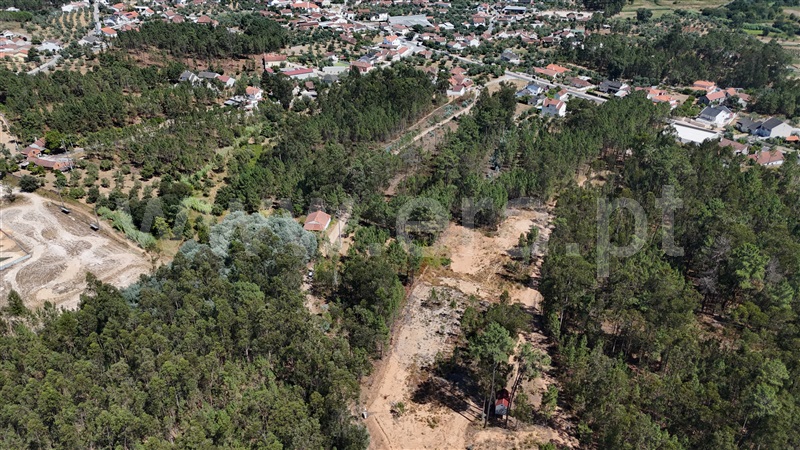 Terreno  com Rústico Ourém, Rio de Couros e Casal dos Bernardos - 1498086 - 5