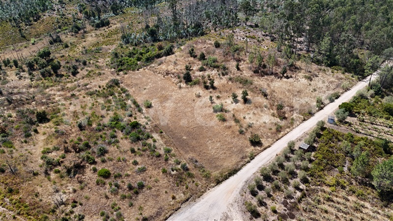 Terreno  com Agrícola Ourém, Rio de Couros e Casal dos Bernardos - 1498105 - 2