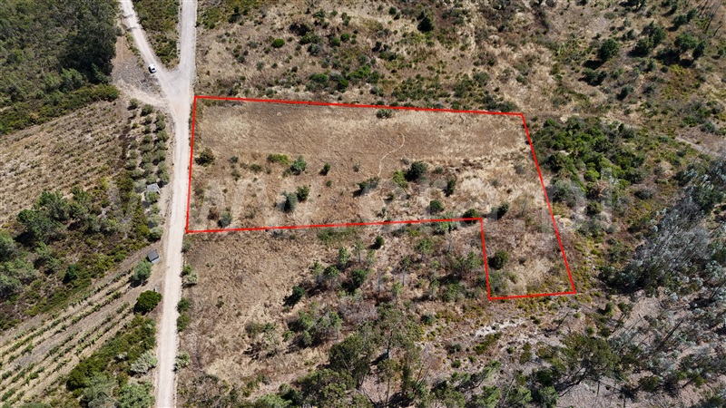 Terreno  com Agrícola Ourém, Rio de Couros e Casal dos Bernardos - 1498105 - 3
