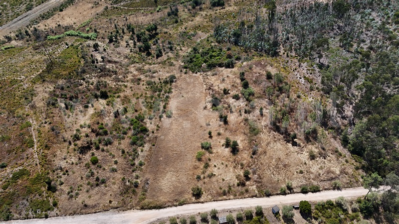 Terreno  com Agrícola Ourém, Rio de Couros e Casal dos Bernardos - 1498105 - 6