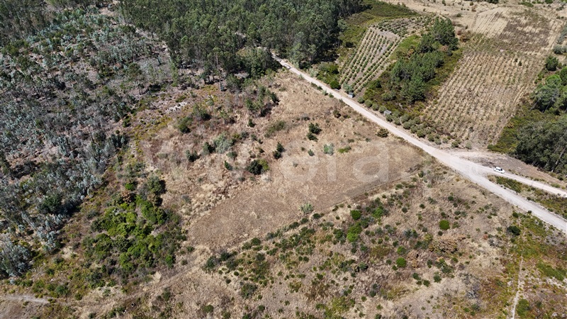 Terreno  com Agrícola Ourém, Rio de Couros e Casal dos Bernardos - 1498105 - 9