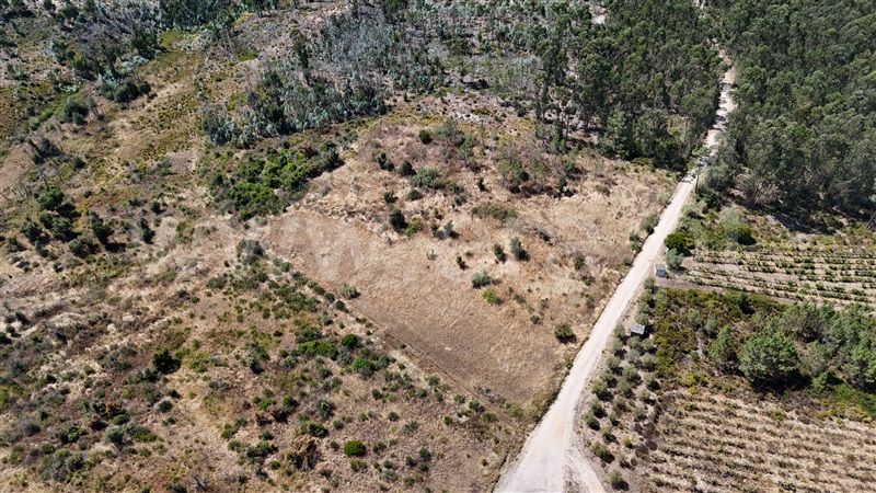 Terreno  com Agrícola Ourém, Rio de Couros e Casal dos Bernardos - 1498105 - 11