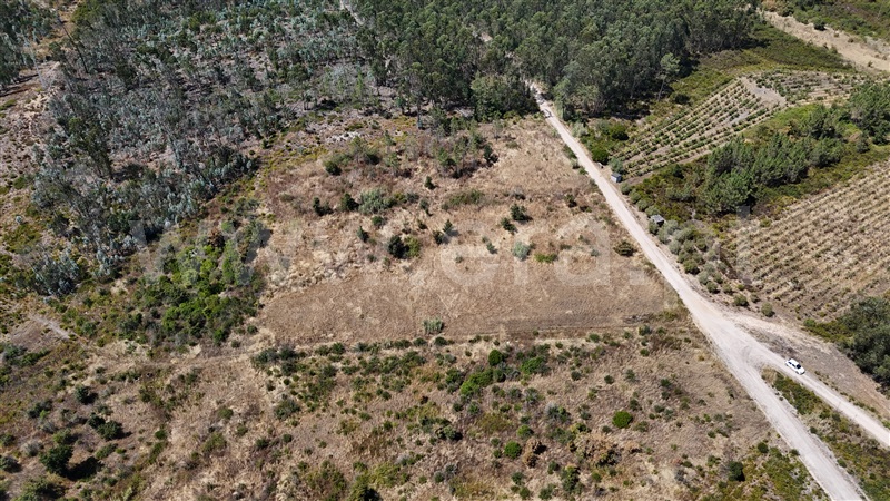 Terreno  com Agrícola Ourém, Rio de Couros e Casal dos Bernardos - 1498105 - 12