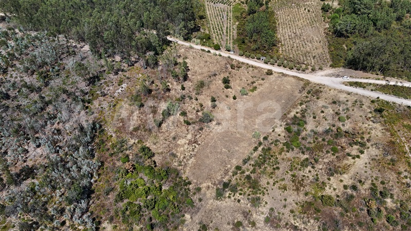 Terreno  com Agrícola Ourém, Rio de Couros e Casal dos Bernardos - 1498105 - 13