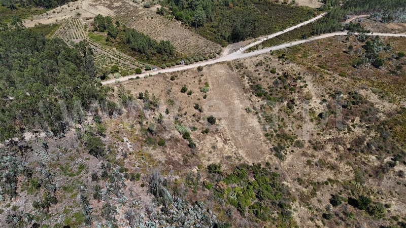 Terreno  com Agrícola Ourém, Rio de Couros e Casal dos Bernardos - 1498105 - 15