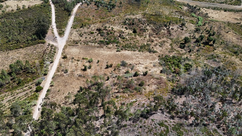 Terreno  com Agrícola Ourém, Rio de Couros e Casal dos Bernardos - 1498105 - 17