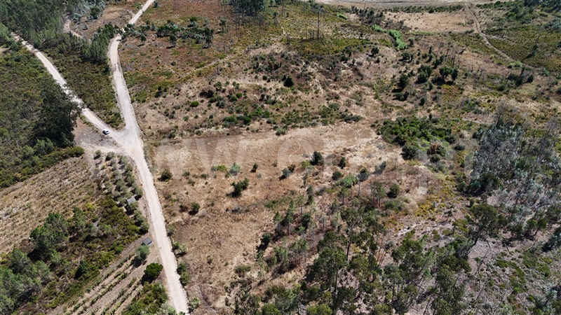 Terreno  com Agrícola Ourém, Rio de Couros e Casal dos Bernardos - 1498105 - 18