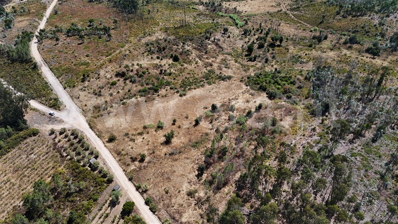 Terreno  com Agrícola Ourém, Rio de Couros e Casal dos Bernardos - 1498105 - 19