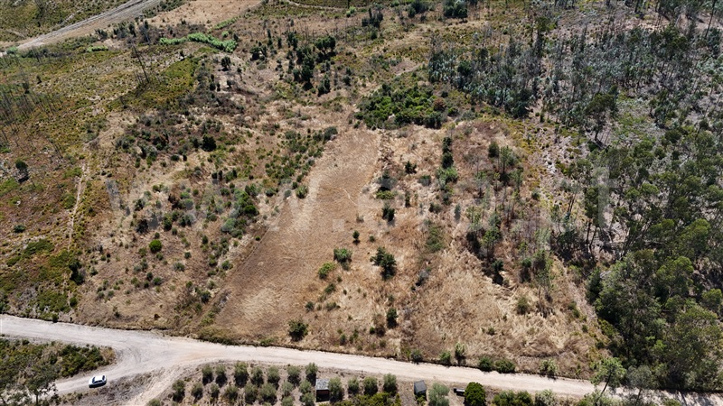 Terreno  com Agrícola Ourém, Rio de Couros e Casal dos Bernardos - 1498105 - 20