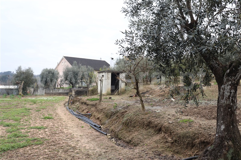 Terreno  Ourém, Seiça - 1153960 - 7