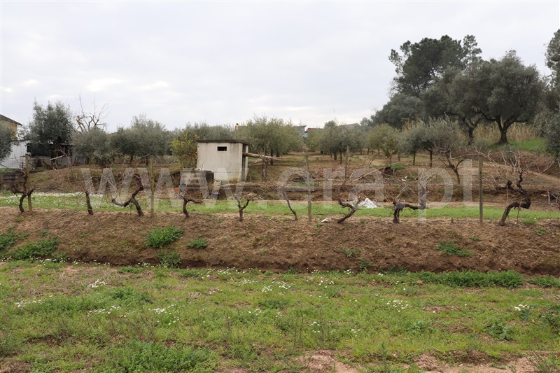 Terreno  Ourém, Seiça - 1153960 - 8