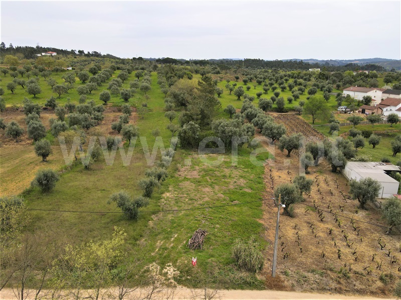 Terreno / Ourém, Seiça