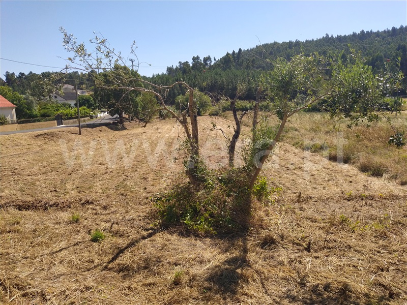 Terreno / Ourém, Urqueira