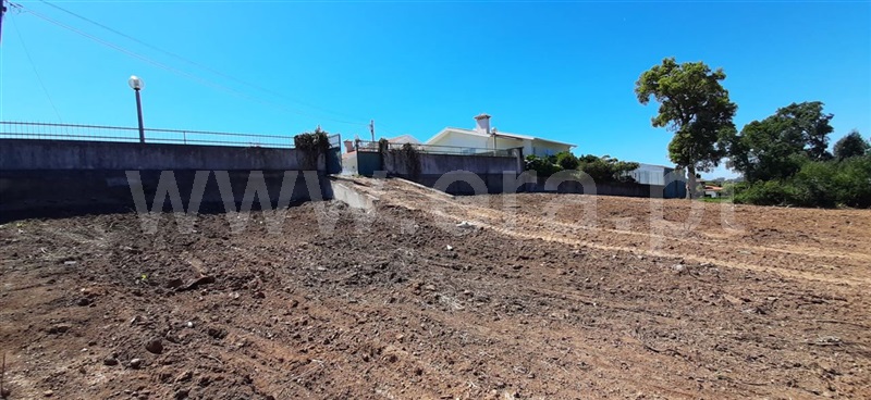 Terreno / Ovar, Esmoriz III