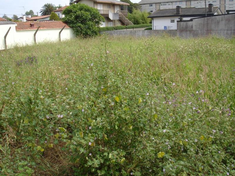 Terreno / Ovar, Esmoriz