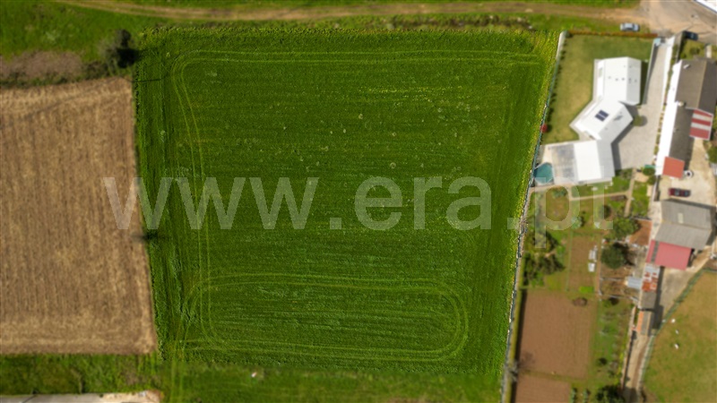 Terreno / Ovar, Ovar, São João, Arada e São Vicente de Pereira Jusã