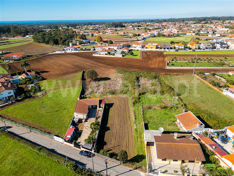 Terreno / Ovar, Ovar, São João, Arada e São Vicente de Pereira Jusã