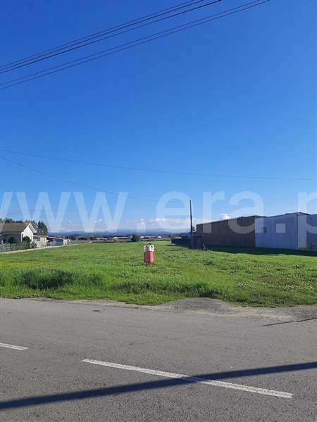 Terreno / Ovar, Ovar, São João, Arada e São Vicente de Pereira Jusã