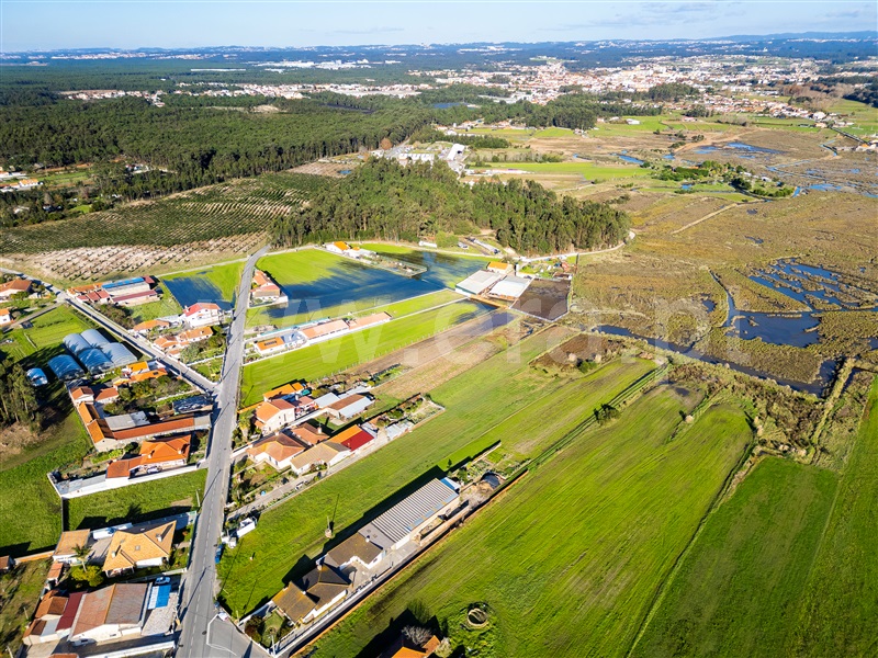 Terreno / Ovar, Ovar, São João, Arada e São Vicente de Pereira Jusã