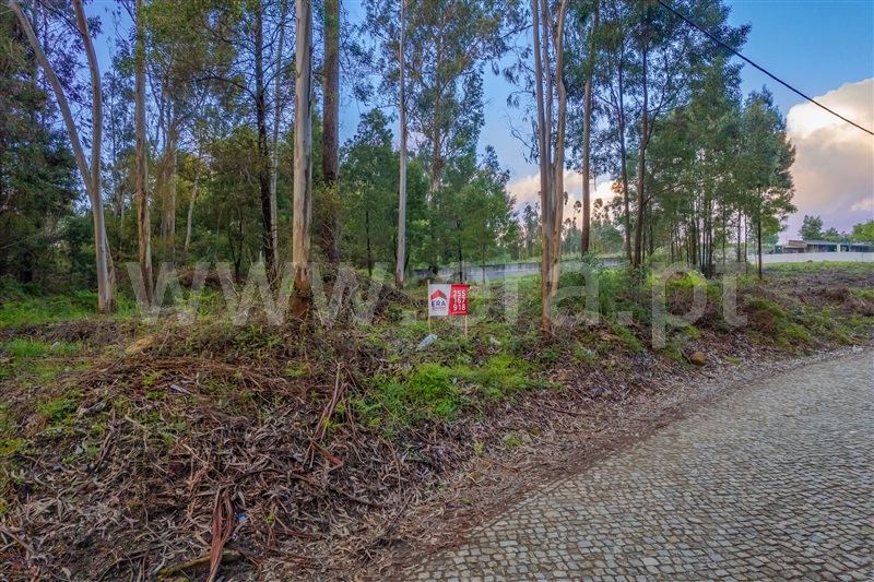 Terreno  com Rústico Paços de Ferreira, Carvalhosa - 1392439 - 4