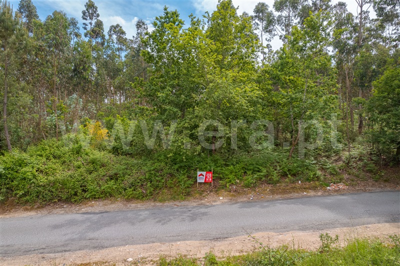 Terreno / Paços de Ferreira, Carvalhosa