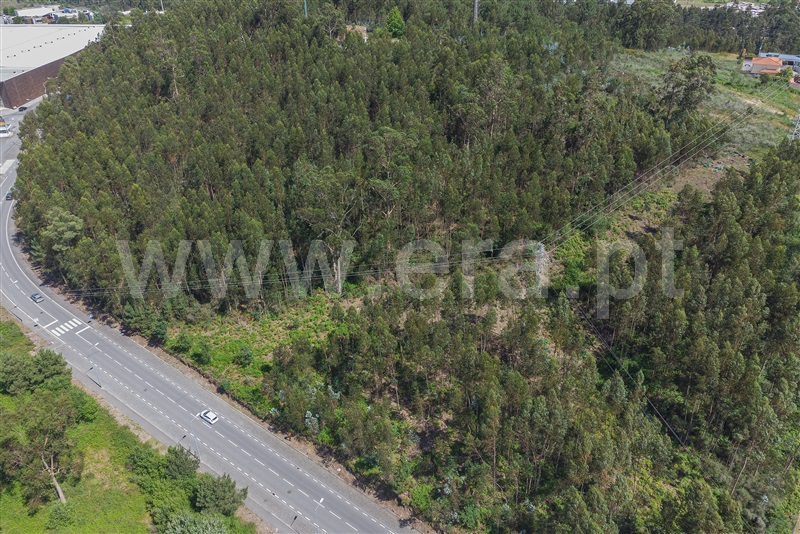 Terreno / Paços de Ferreira, Ferreira