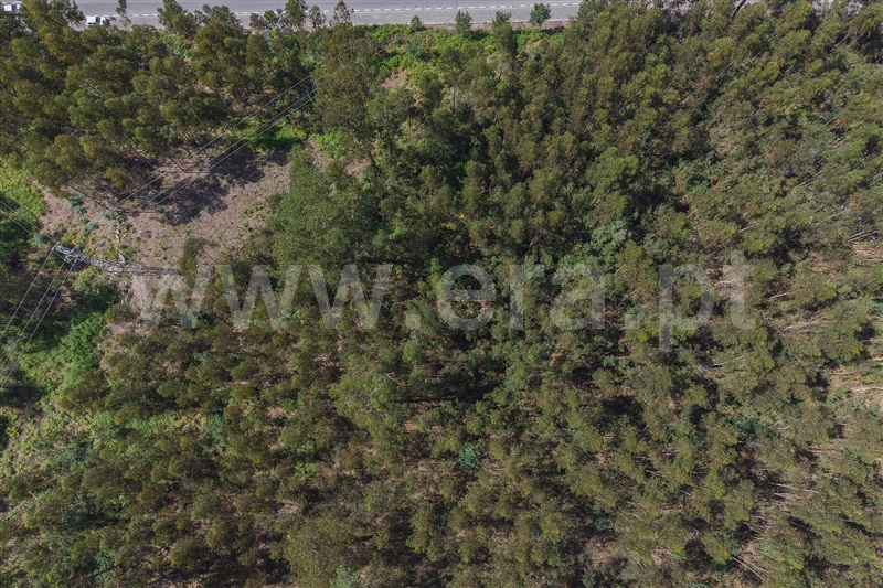 Terreno  Paços de Ferreira - 1175678 - 6