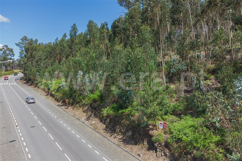 Terreno  Paços de Ferreira - 1175678 - 8