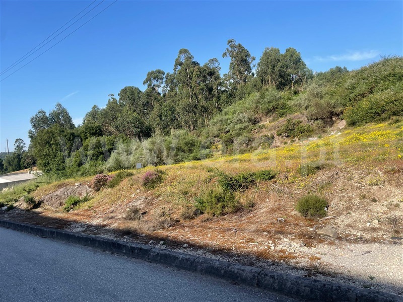 Terreno / Paços de Ferreira, Meixomil